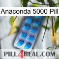 Anaconda 5000 Pill viagra1